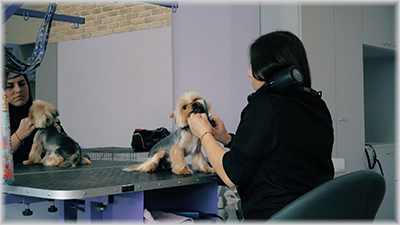 Video ArtSpace